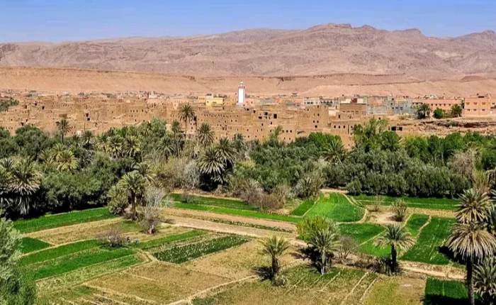tour 4 dias desierto Marrakech