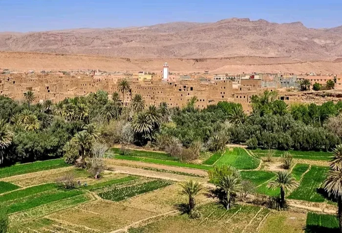 tour 4 dias desierto Marrakech