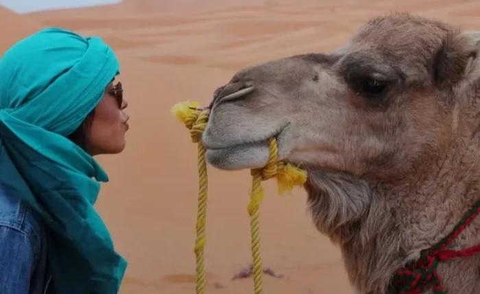 Tour de 3 días al desierto de Fez