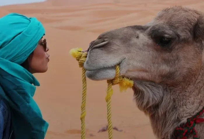 Tour de 3 días al desierto de Fez