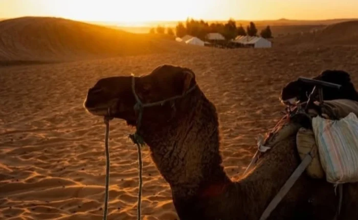 Marruecos en 7 días